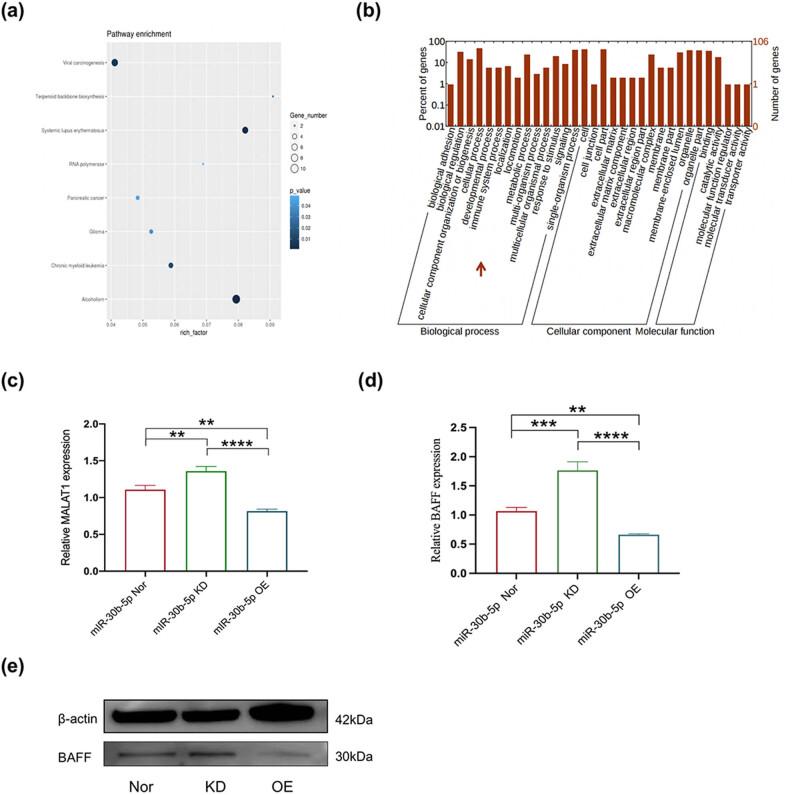 https://cdn.ncbi.nlm.nih.gov/pmc/blobs/ef86/10590614/473a8513efa7/j_tnsci-2022-0306-fig003.jpg