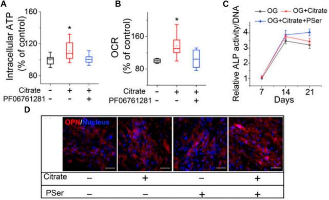 https://cdn.ncbi.nlm.nih.gov/pmc/blobs/ef86/9581237/3a908c398ec3/fbioe-10-921092-g009.jpg