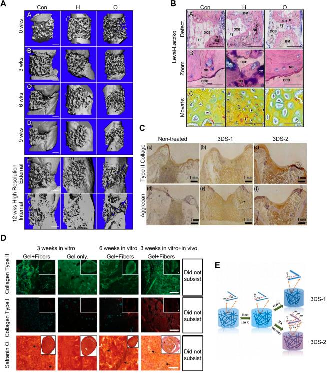 https://cdn.ncbi.nlm.nih.gov/pmc/blobs/ef86/9581237/5145346a6d22/fbioe-10-921092-g006.jpg