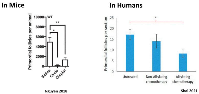 https://cdn.ncbi.nlm.nih.gov/pmc/blobs/ef87/10671775/dc91da5ec211/ijms-24-16291-g002.jpg