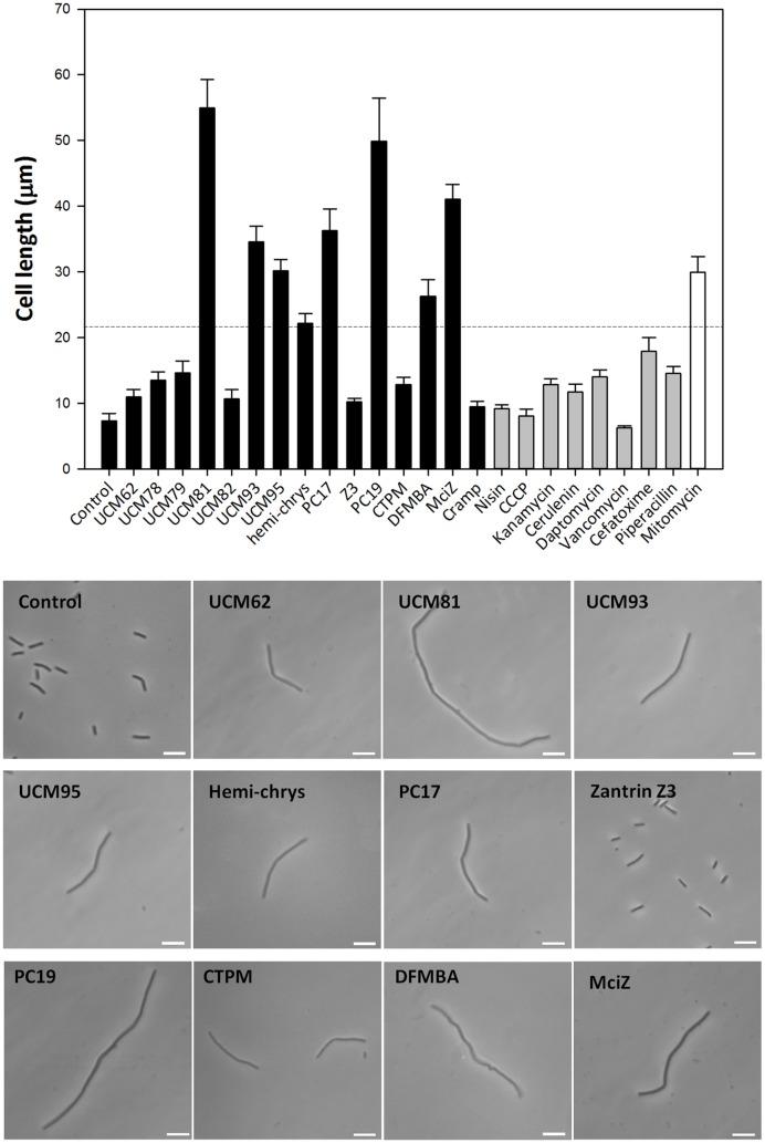 https://cdn.ncbi.nlm.nih.gov/pmc/blobs/ef89/5045927/d1bbdc124e8a/fmicb-07-01558-g002.jpg