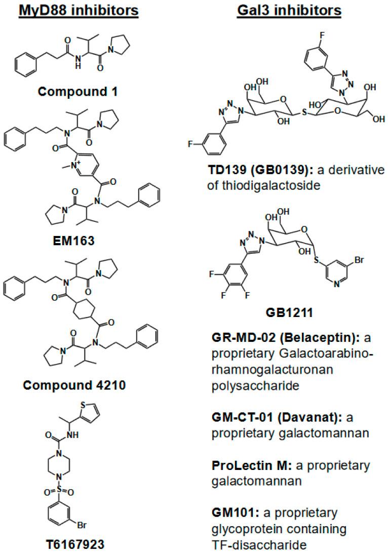 https://cdn.ncbi.nlm.nih.gov/pmc/blobs/ef8a/11313481/596ac70ed14e/ijms-25-08421-g006.jpg