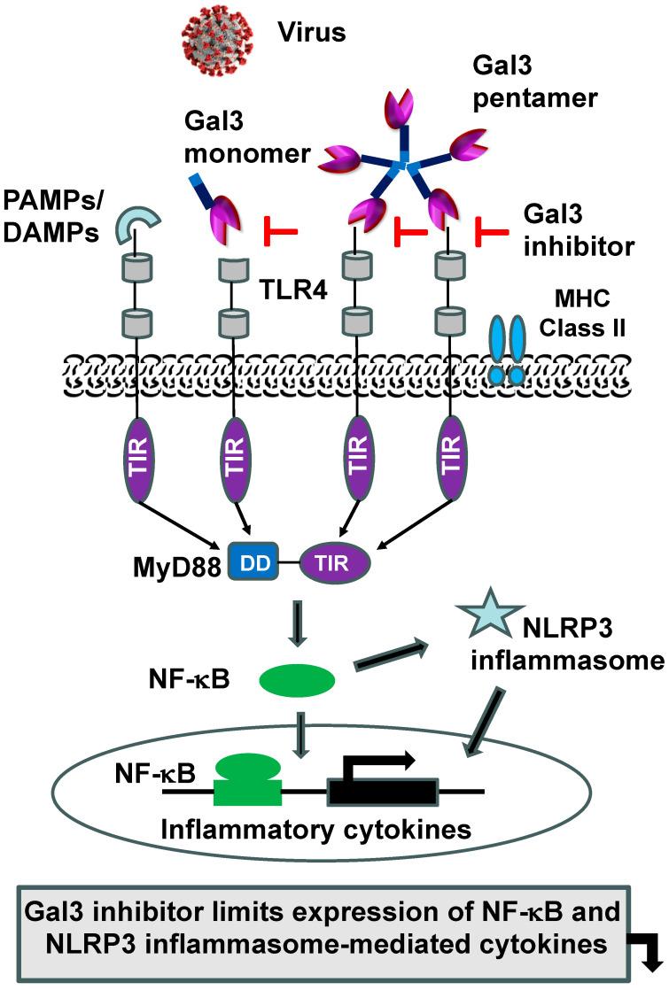 https://cdn.ncbi.nlm.nih.gov/pmc/blobs/ef8a/11313481/7598033c9bc0/ijms-25-08421-g005.jpg