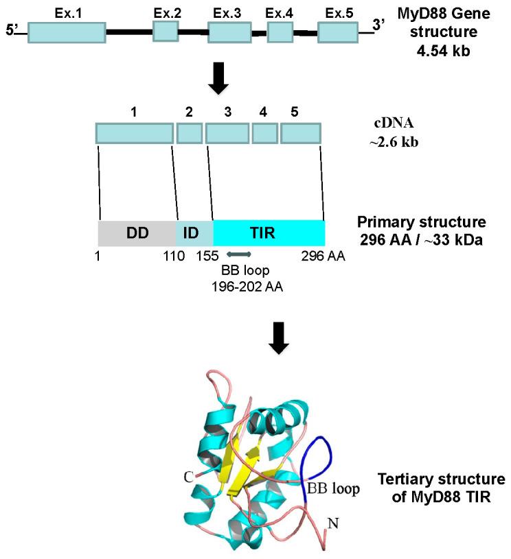https://cdn.ncbi.nlm.nih.gov/pmc/blobs/ef8a/11313481/b1505d017616/ijms-25-08421-g001.jpg