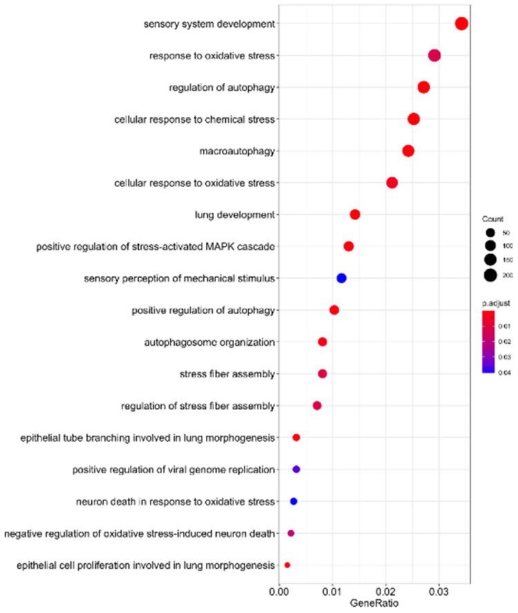 https://cdn.ncbi.nlm.nih.gov/pmc/blobs/ef8a/9346380/1805f90138f2/ijmsv19p1340g004.jpg