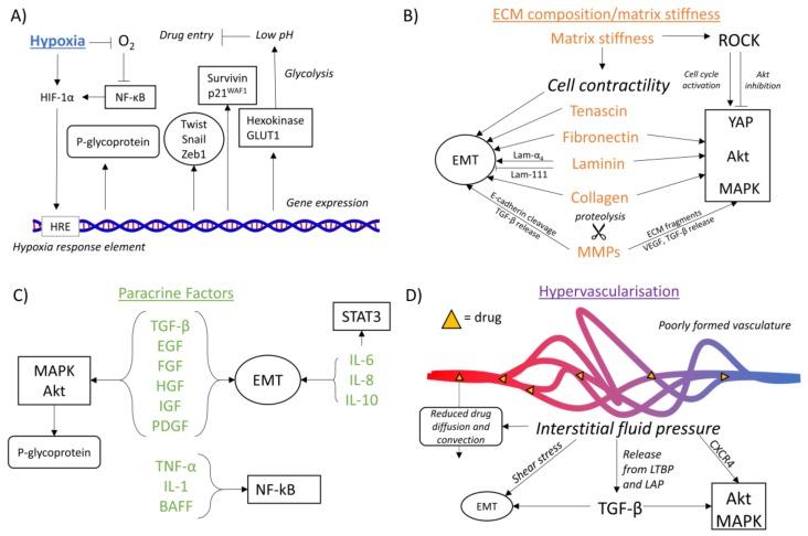 https://cdn.ncbi.nlm.nih.gov/pmc/blobs/ef8b/6315745/008030e01351/cancers-10-00471-g003.jpg