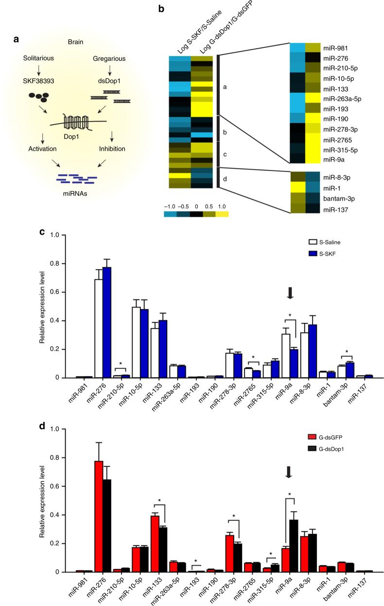 https://cdn.ncbi.nlm.nih.gov/pmc/blobs/ef8c/5864846/777b5dfe3b86/41467_2018_3437_Fig2_HTML.jpg