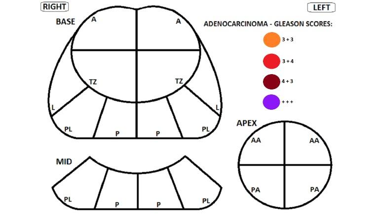 https://cdn.ncbi.nlm.nih.gov/pmc/blobs/ef8e/4923592/62106e015702/resprot_v5i2e98_fig2.jpg