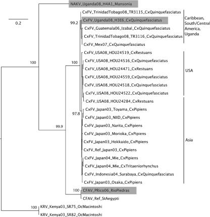 https://cdn.ncbi.nlm.nih.gov/pmc/blobs/ef90/2885038/df37afe51f36/2669fig4.jpg