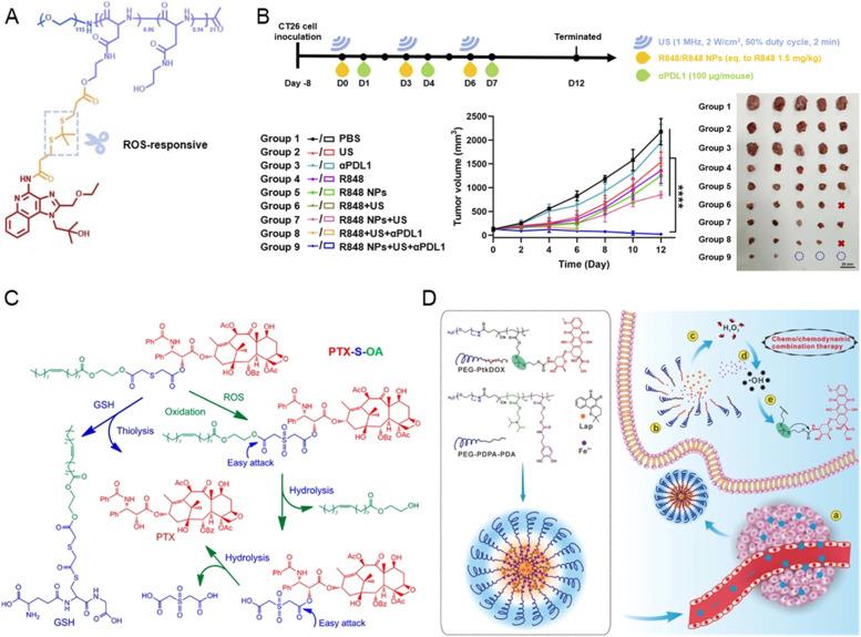 https://cdn.ncbi.nlm.nih.gov/pmc/blobs/ef95/12327866/59206eef6126/gr4.jpg