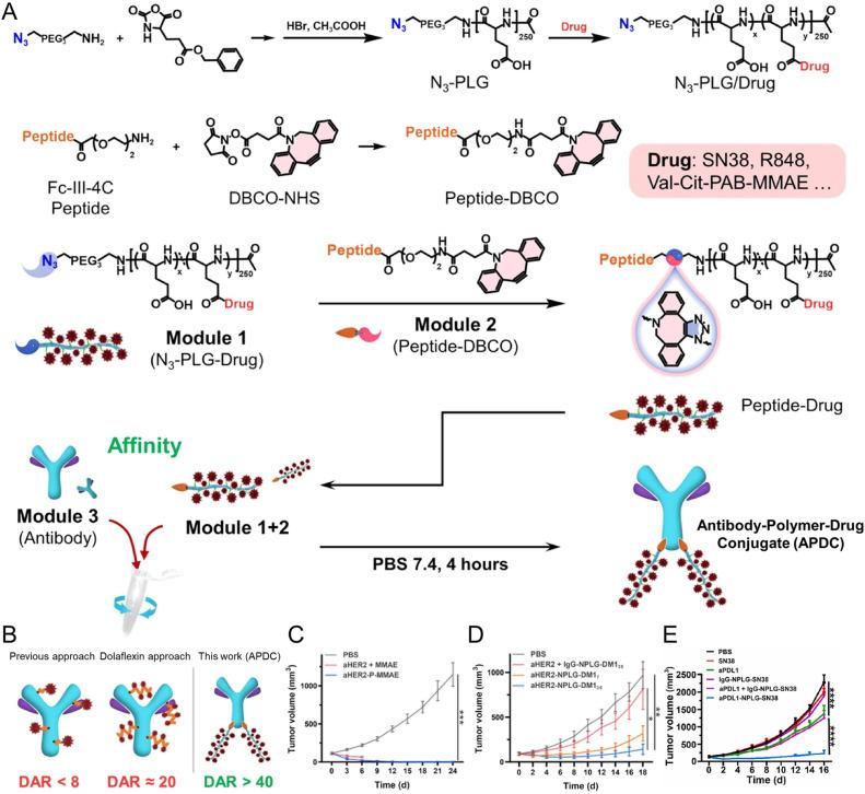 https://cdn.ncbi.nlm.nih.gov/pmc/blobs/ef95/12327866/8a687ff9969c/gr2.jpg