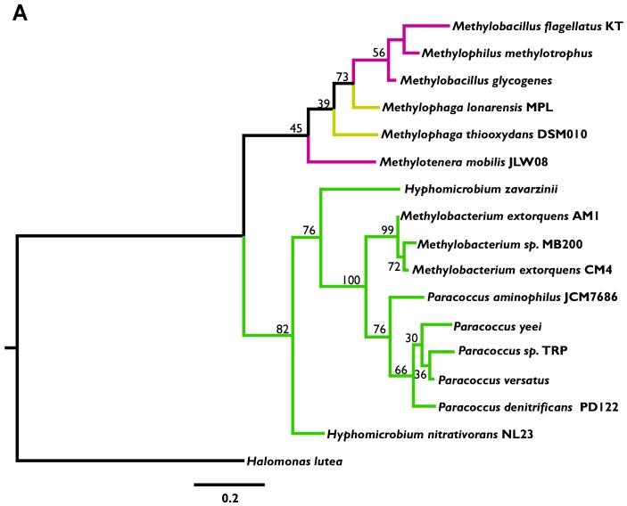https://cdn.ncbi.nlm.nih.gov/pmc/blobs/ef96/5023228/42a0e00095bd/microorganisms-03-00060-g004a.jpg