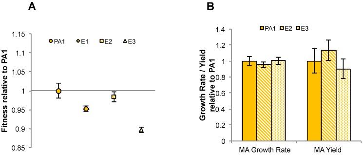 https://cdn.ncbi.nlm.nih.gov/pmc/blobs/ef96/5023228/b82de4c0f0d4/microorganisms-03-00060-g007.jpg