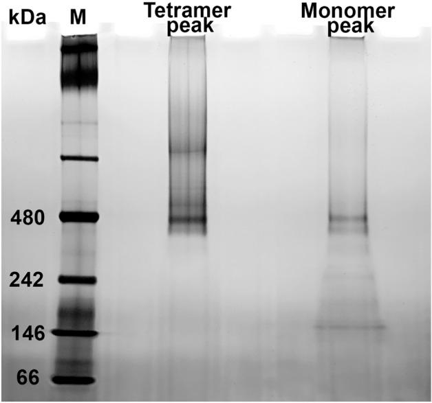 https://cdn.ncbi.nlm.nih.gov/pmc/blobs/ef96/9276669/03aa91fde223/41598_2022_15798_Fig8_HTML.jpg