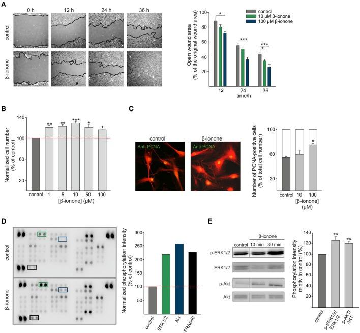 https://cdn.ncbi.nlm.nih.gov/pmc/blobs/ef97/5714887/5cc0e718605d/fphys-08-00888-g0004.jpg
