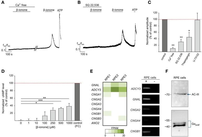 https://cdn.ncbi.nlm.nih.gov/pmc/blobs/ef97/5714887/8fb9152277f6/fphys-08-00888-g0003.jpg