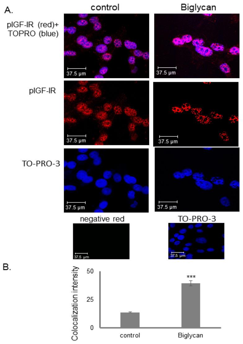 https://cdn.ncbi.nlm.nih.gov/pmc/blobs/ef97/8909324/75f6a2a9a882/cancers-14-01196-g007.jpg