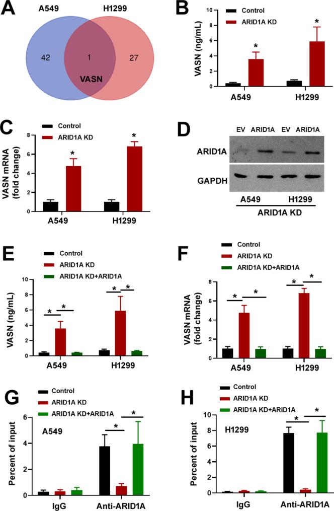 https://cdn.ncbi.nlm.nih.gov/pmc/blobs/ef98/11520519/7bc55428e36c/12885_2024_13083_Fig1_HTML.jpg