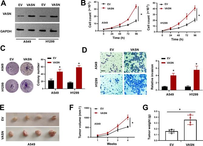 https://cdn.ncbi.nlm.nih.gov/pmc/blobs/ef98/11520519/cbb6bda5efa2/12885_2024_13083_Fig3_HTML.jpg