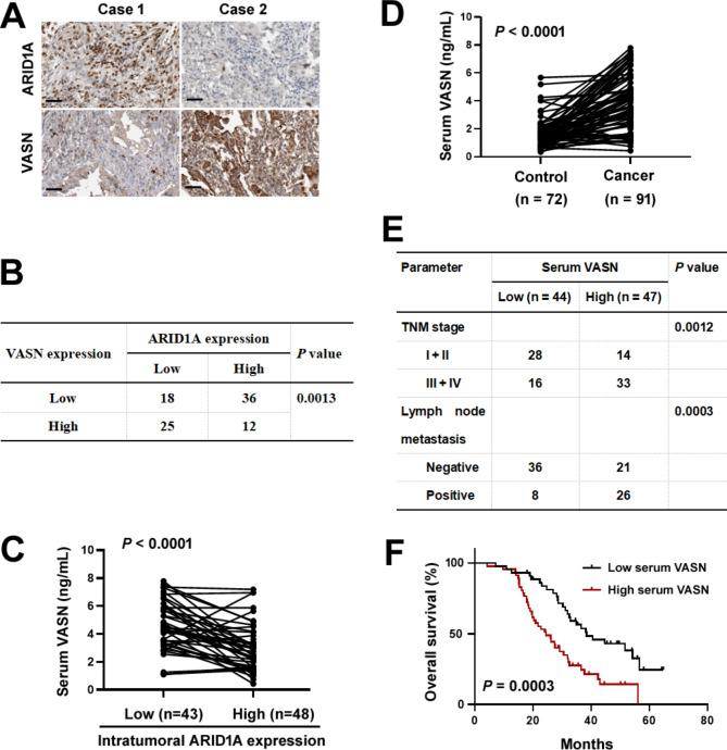 https://cdn.ncbi.nlm.nih.gov/pmc/blobs/ef98/11520519/ddc79593a0f1/12885_2024_13083_Fig2_HTML.jpg