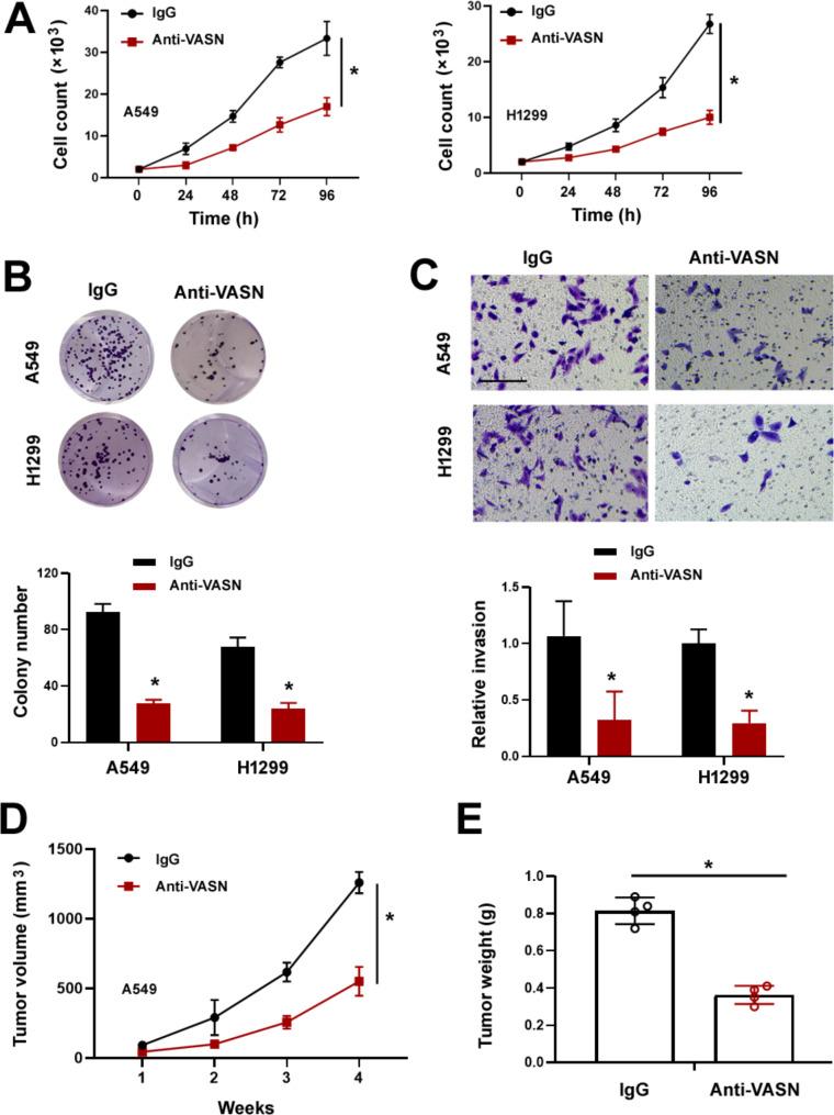 https://cdn.ncbi.nlm.nih.gov/pmc/blobs/ef98/11520519/ee47ab27866d/12885_2024_13083_Fig4_HTML.jpg