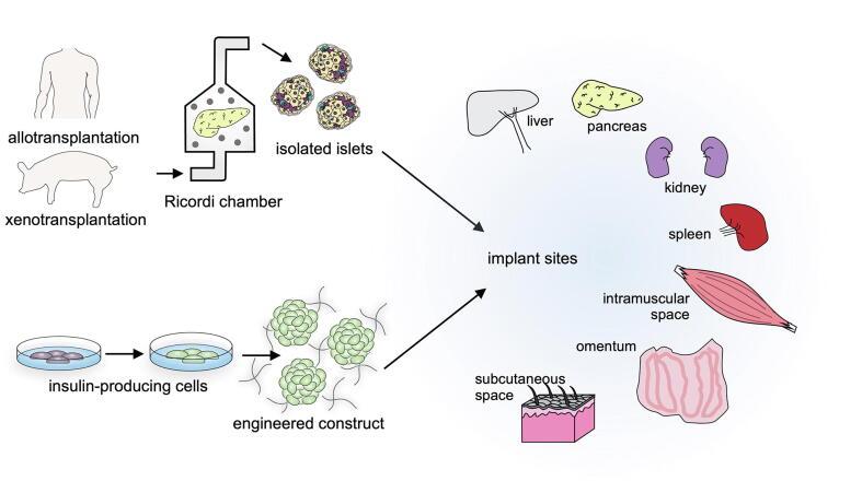 https://cdn.ncbi.nlm.nih.gov/pmc/blobs/ef98/9531713/9fce29ab1671/gr2.jpg