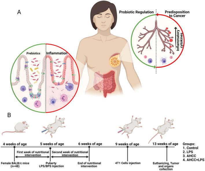 https://cdn.ncbi.nlm.nih.gov/pmc/blobs/ef9a/11462599/f0e73f3ffe3f/CAM4-13-e70277-g002.jpg