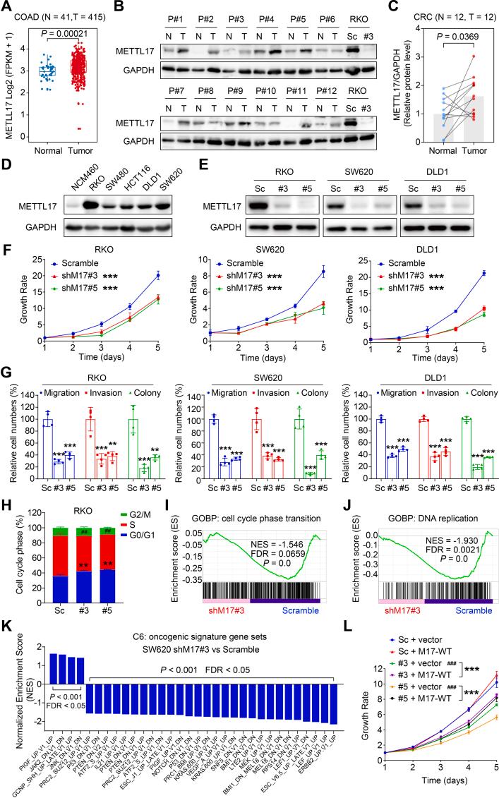 https://cdn.ncbi.nlm.nih.gov/pmc/blobs/ef9c/10884776/0a5641e33c63/gr2.jpg