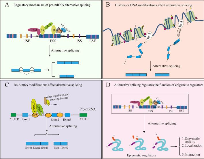 https://cdn.ncbi.nlm.nih.gov/pmc/blobs/ef9c/11229277/5702c25644d9/11658_2024_618_Fig3_HTML.jpg