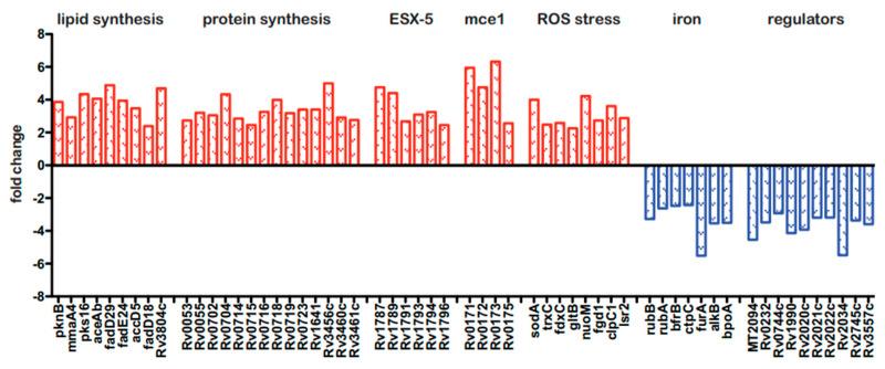 https://cdn.ncbi.nlm.nih.gov/pmc/blobs/ef9e/10535942/36c1e76840d9/pathogens-12-01109-g004.jpg