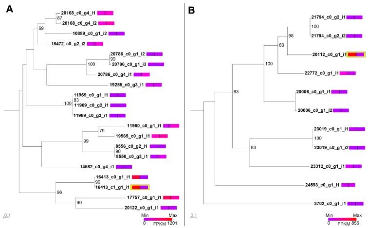 https://cdn.ncbi.nlm.nih.gov/pmc/blobs/ef9e/5869384/207fc46141c2/toxins-10-00096-g007.jpg