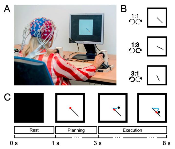 https://cdn.ncbi.nlm.nih.gov/pmc/blobs/ef9e/9688378/0d2c898aee0b/brainsci-12-01444-g001.jpg