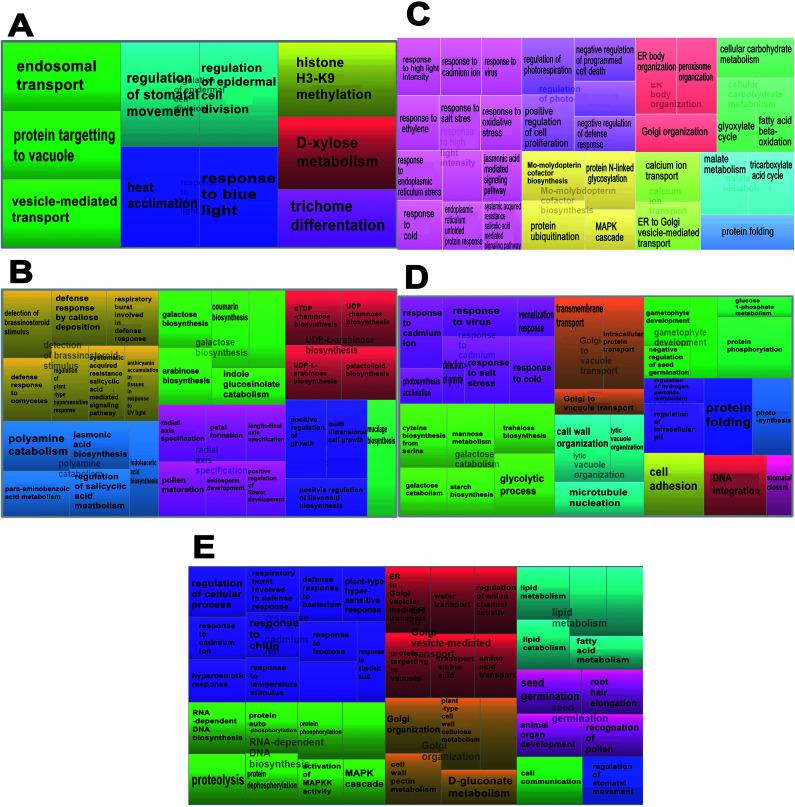 https://cdn.ncbi.nlm.nih.gov/pmc/blobs/ef9f/9064782/b21c5cf5541c/c8ra10616a-f2.jpg