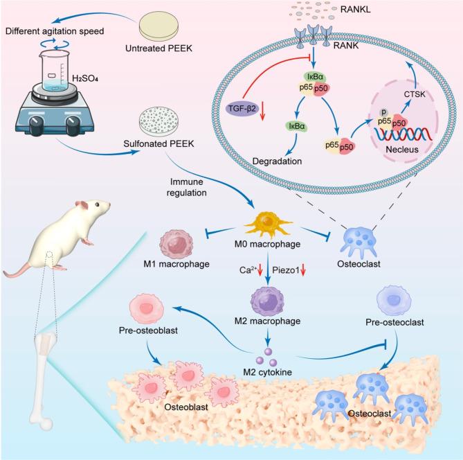 https://cdn.ncbi.nlm.nih.gov/pmc/blobs/efa0/11895393/655b575fea19/12951_2025_3272_Fig1_HTML.jpg