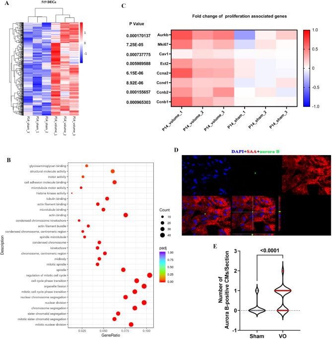 https://cdn.ncbi.nlm.nih.gov/pmc/blobs/efa6/11604012/51cac3539f89/12967_2024_5839_Fig2_HTML.jpg