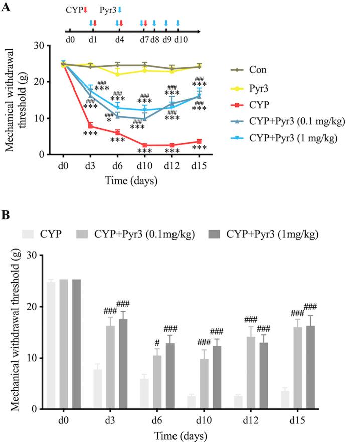 https://cdn.ncbi.nlm.nih.gov/pmc/blobs/efa8/12014565/2ea142caddd9/fphar-16-1565156-g002.jpg