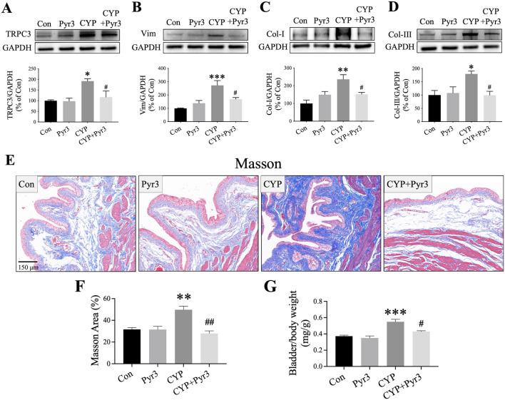 https://cdn.ncbi.nlm.nih.gov/pmc/blobs/efa8/12014565/48ddea7d608a/fphar-16-1565156-g005.jpg