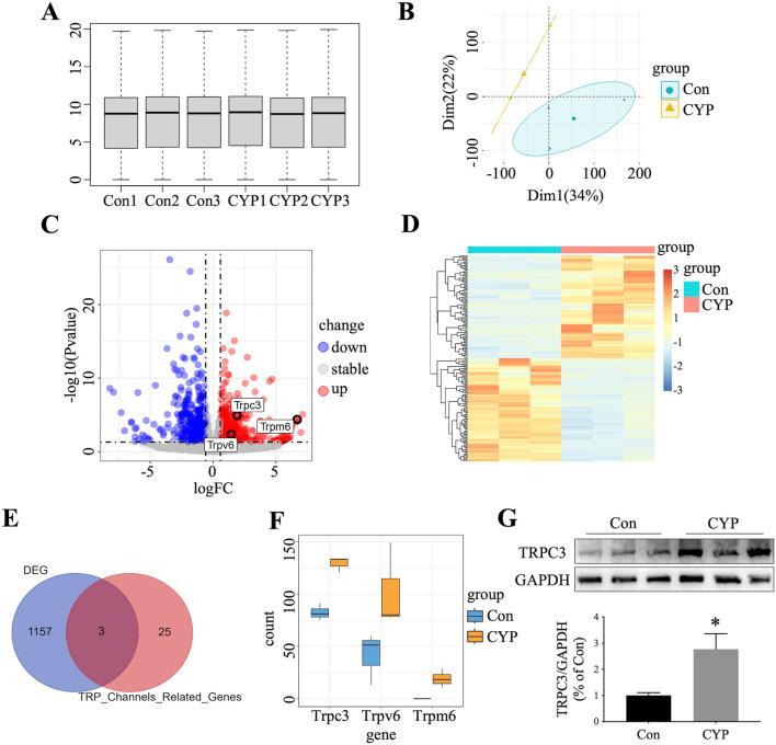 https://cdn.ncbi.nlm.nih.gov/pmc/blobs/efa8/12014565/fc8ea41da79f/fphar-16-1565156-g001.jpg