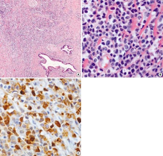 https://cdn.ncbi.nlm.nih.gov/pmc/blobs/efa8/2729966/e847f5e09407/jkms-21-550-g003.jpg