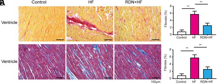 https://cdn.ncbi.nlm.nih.gov/pmc/blobs/efaa/11426397/6a2b0c027e92/ajc-28-9-429_f003.jpg