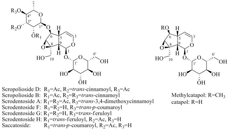 https://cdn.ncbi.nlm.nih.gov/pmc/blobs/efab/6331811/871b1af96069/molecules-20-19659-g001.jpg