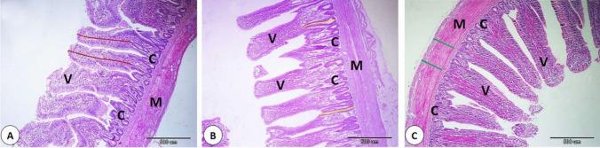 https://cdn.ncbi.nlm.nih.gov/pmc/blobs/efac/12081496/ca2191f68266/11250_2025_4455_Fig2_HTML.jpg