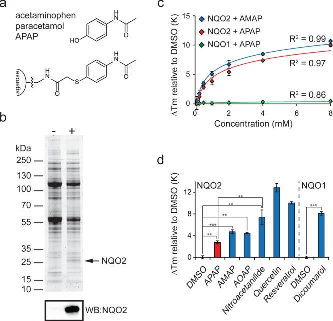 https://cdn.ncbi.nlm.nih.gov/pmc/blobs/efac/4255684/4a635ee00bd1/mp-2014-004866_0002.jpg