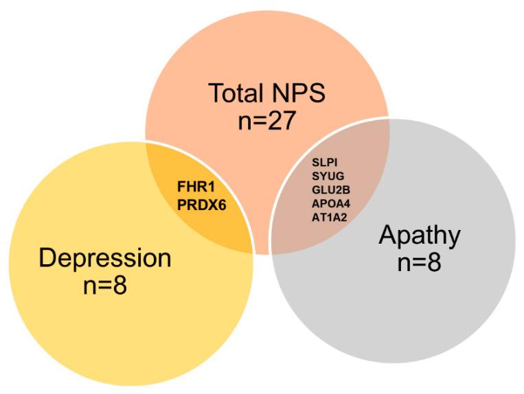 https://cdn.ncbi.nlm.nih.gov/pmc/blobs/efac/8947516/3aee2eb11466/cells-11-01030-g002.jpg