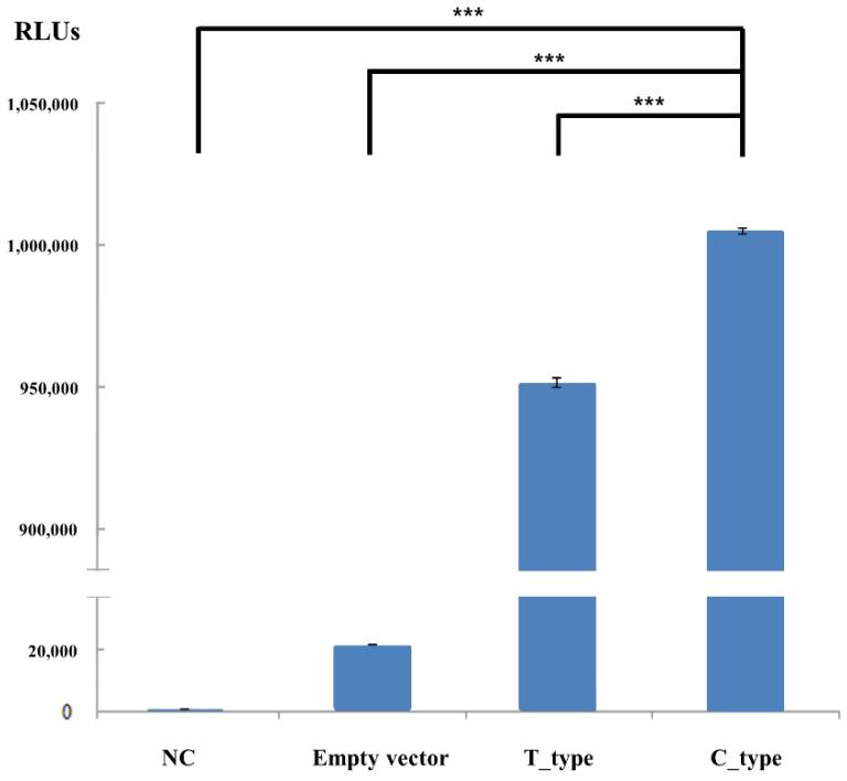 https://cdn.ncbi.nlm.nih.gov/pmc/blobs/efad/8619045/6fac44b2eb86/genes-12-01662-g003.jpg
