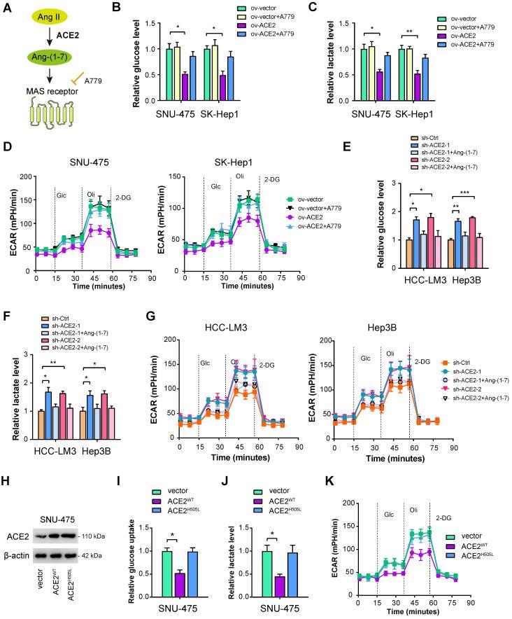 https://cdn.ncbi.nlm.nih.gov/pmc/blobs/efaf/10197896/1be89b2ad4a7/ijbsv19p2613g003.jpg