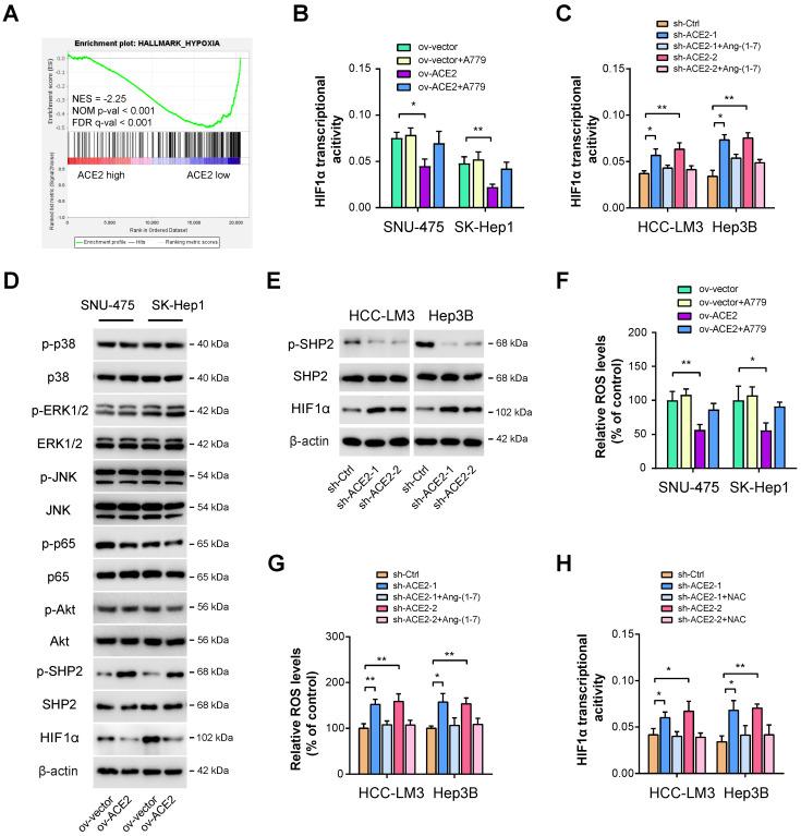 https://cdn.ncbi.nlm.nih.gov/pmc/blobs/efaf/10197896/8acb76818e4b/ijbsv19p2613g004.jpg