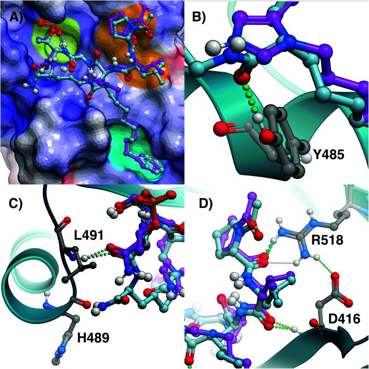 https://cdn.ncbi.nlm.nih.gov/pmc/blobs/efb0/8456285/7a4e7569ccbc/d1ob01120k-f2.jpg