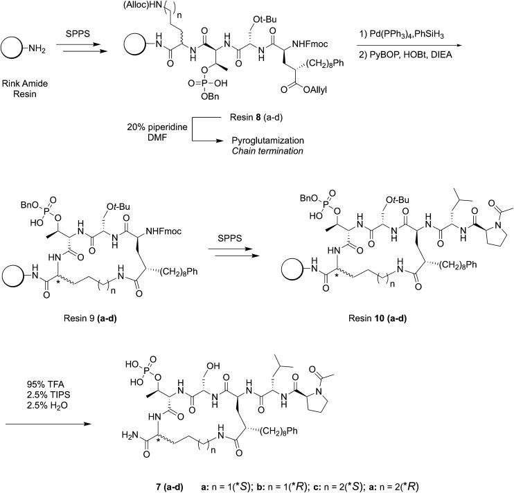 https://cdn.ncbi.nlm.nih.gov/pmc/blobs/efb0/8456285/fa205ba4300c/d1ob01120k-s2.jpg