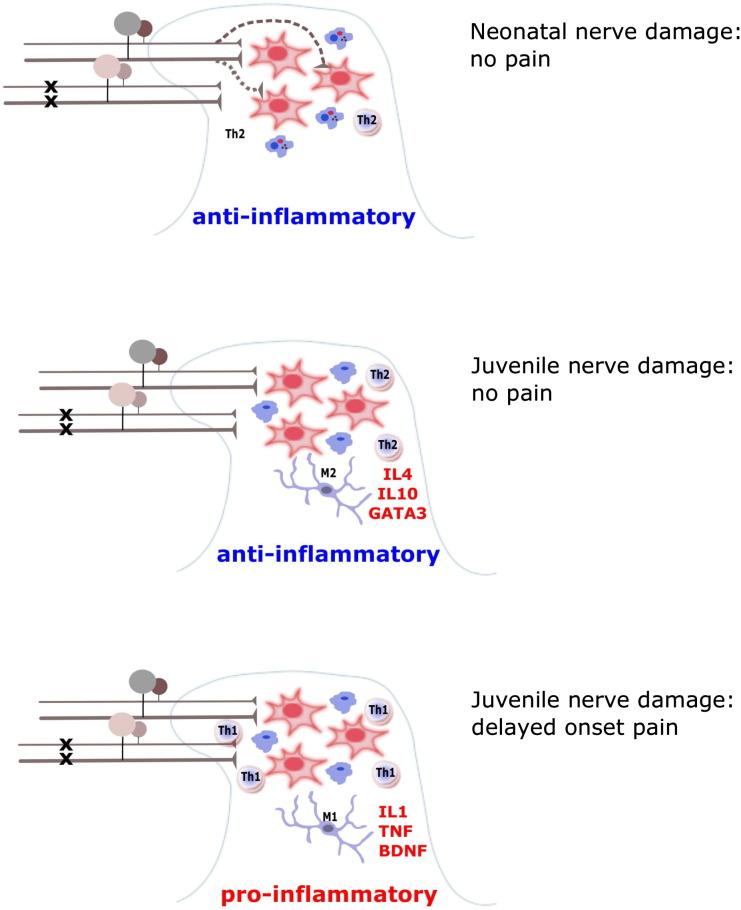 https://cdn.ncbi.nlm.nih.gov/pmc/blobs/efb1/4691235/bb4bba787ffc/gr1.jpg